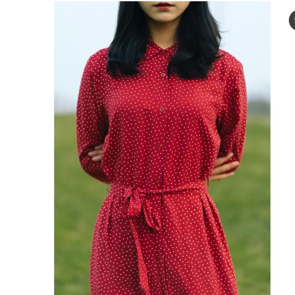 Uniqlo Polka Dot Dress - Picture 3 of 6